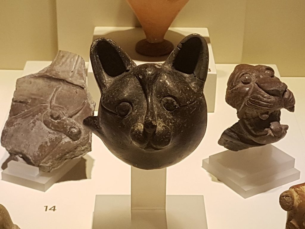 Древняя Анатолия: история одомашнивания кошки