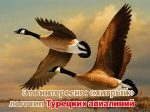 9a32df0f548929b40998ed4429419acf