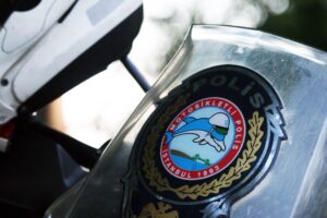 Дельфины турецких улиц или кто такие Yunus Polis? Дельфины турецких улиц или кто такие Yunus Polis?